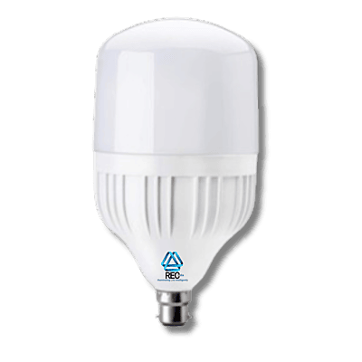 LED Bulb D40WB22